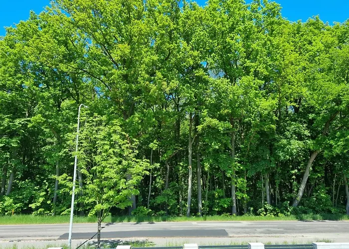 M&k Baltyk - Sobieszewo - Wyspa Sobieszewska Апартаменты Гданьск